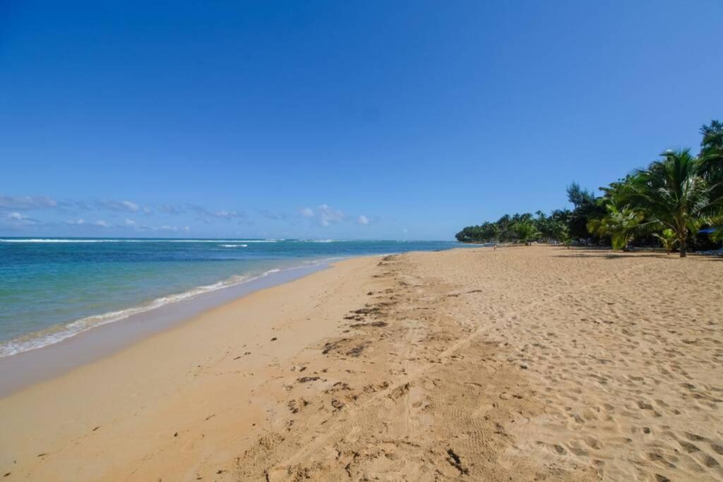 Palmeraie Terrenas Beach Apartamento Las Terrenas Zewnętrze zdjęcie